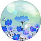 Painted metal 20mm snap buttons Flower shell Print