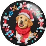 Painted metal 20mm snap buttons Christmas Bird Dog Print   DIY jewelry
