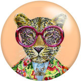 Painted metal 20mm snap buttons giraffe tiger Animal Print