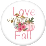 Painted metal 20mm snap buttons L\ove Fall Pumpkin Print   DIY jewelry