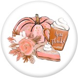 20MM Thanksgiving Pumpkin Print glass snaps buttons  DIY jewelry