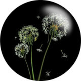 Painted metal 20mm snap buttons Botany dandelion Print