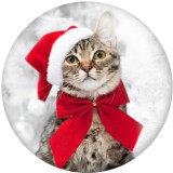 Painted metal 20mm snap buttons Christmas Kitten and puppy Print   DIY jewelry