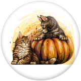 20MM Halloween Cat pattern Print glass snaps buttons