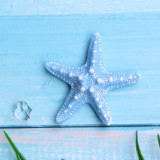 Sea Scallop Starfish  flat bottom mobile phone case hair clip accessories DIY resin accessories