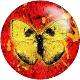 20MM Colorful Butterfly  Print glass snaps buttons  DIY jewelry