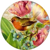 20MM bird  Print glass snaps buttons  DIY jewelry