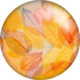 20MM color Transparent leaves Print  glass snaps buttons