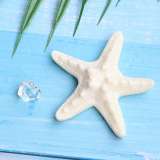 Starfish Gradient Shell Resin Ocean Series DIY 20mm snap button charms