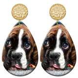 20 styles Pet cat and dog pattern  Acrylic Painted stainless steel Water drop earrings