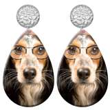 20 styles Pet cat and dog pattern  Acrylic Painted stainless steel Water drop earrings