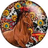 20MM horse Flower pattern Print glass snap button charms