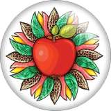 20MM Pretty sunflower Colorful Flower Apple Rabbit Print glass snap button charms