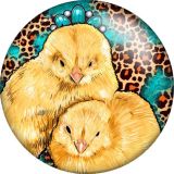 20MM Rabbit chicken cow pattern Print glass snap button charms
