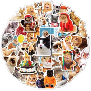 50 realistic cat stickers wall stickers cute cat realistic dormitory pet store wall glass stickers painting waterproof stickers