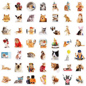 50 realistic cat stickers wall stickers cute cat realistic dormitory pet store wall glass stickers painting waterproof stickers