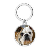 Stainless Steel Dog Cartoon pattern Painted Keychain
