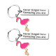 Inspirational gift Never forget how flaming stainless steel Flamingo key ring