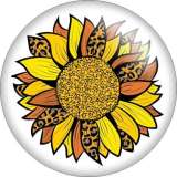 Painted metal 20mm snap buttons Pretty Colorful sunflower  Print  charms