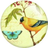 Painted metal 20mm snap buttons bird  Print   DIY jewelry