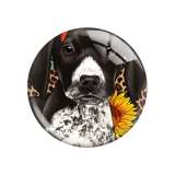Painted metal 20mm snap buttons Dog pattern Print  charms