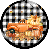 Painted metal 20mm snap buttons Thanksgiving Print  charms