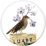 Painted metal 20mm snap buttons bird  Print   DIY jewelry