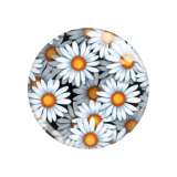 Painted metal 20mm snap buttons Flower Leopard pattern  Print  charms