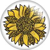Painted metal 20mm snap buttons Pretty Colorful sunflower  Print  charms