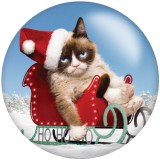Painted metal 20mm snap buttons  Christmas Cat  Print   DIY jewelry