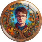 Painted metal 20mm snap buttons Harry Potter Print  charms