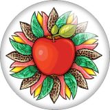 Painted metal 20mm snap buttons Pretty sunflower Colorful Flower Apple Rabbit Print  charms