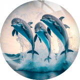 20MM dolphin Print glass snap button charms