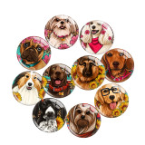 Painted metal 20mm snap buttons Dog pattern Print  charms