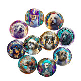 20MM dog Print glass snap button charms