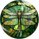 20MM dragonfly Print glass snap button charms