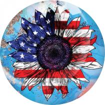 20MM American Flag Print glass snap button charms