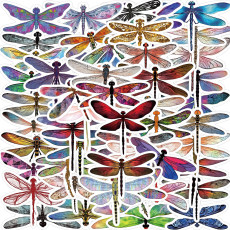 53 cartoon dragonfly graffiti stickers for personalized decoration guitar laptop luggage DIY waterproof stickers