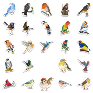 50 pieces of colorful watercolor style bird graffiti stickers for decorative luggage, notebook, waterproof sticker