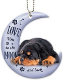Double sided printing dog frog moon tattoo animal enthusiast Puerto Rican car rearview mirror accessories car hanging Christmas decorations with chain