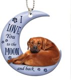 Double sided printing dog frog moon tattoo animal enthusiast Puerto Rican car rearview mirror accessories car hanging Christmas decorations with chain