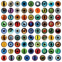 80 personalized eyeball graffiti stickers, luggage phone case, flat water cup, helmet, skateboard, waterproof sticker