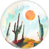 20MM cactus star moon glass snap button charms