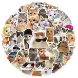 50 funny cat expression graffiti stickers, laptop phone case, tablet guitar, water cup, waterproof sticker