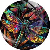Painted metal 20mm snap buttons  dragonfly Print charms