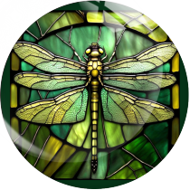 Painted metal 20mm snap buttons  dragonfly Print charms
