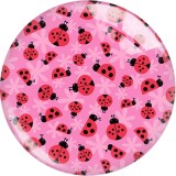 Painted metal 20mm snap buttons   animal Print