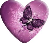 Butterfly Love pattern Heart Photo Resin snap button charms   fit 18mm snap jewelry
