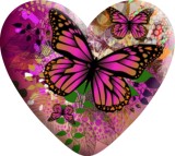 Butterfly Love pattern Heart Photo Resin snap button charms   fit 18mm snap jewelry