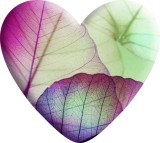 Leaf Love pattern Heart Photo Resin snap button charms   fit 18mm snap jewelry